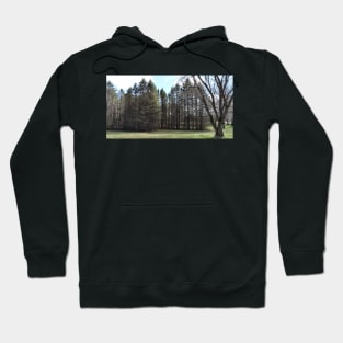 Last Line Hoodie